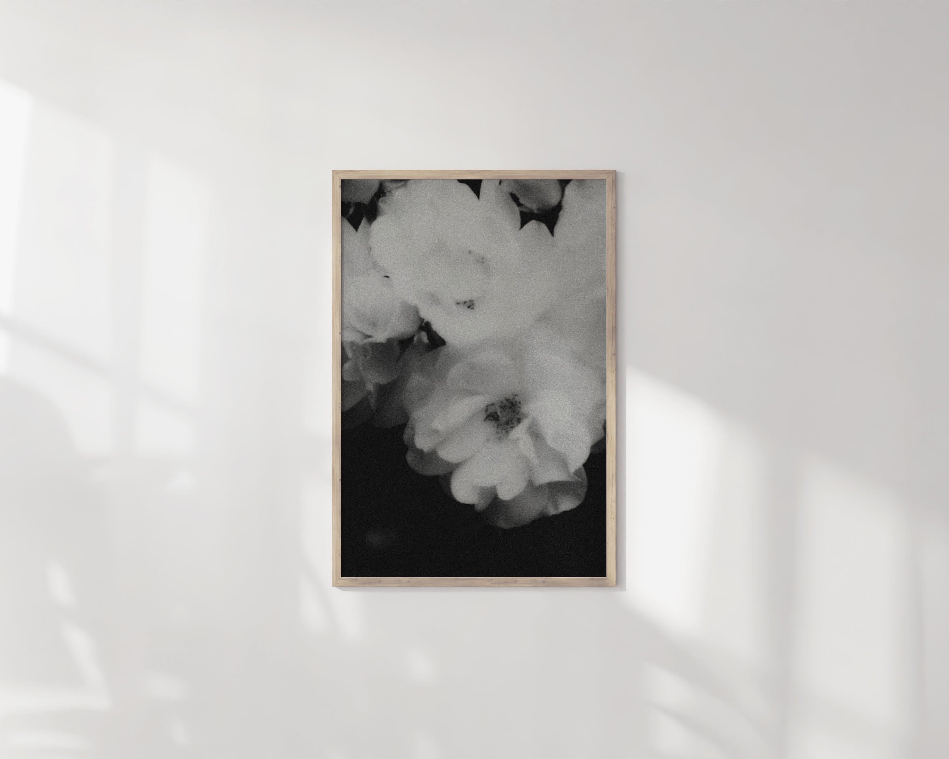 Print | Polaroid Rose