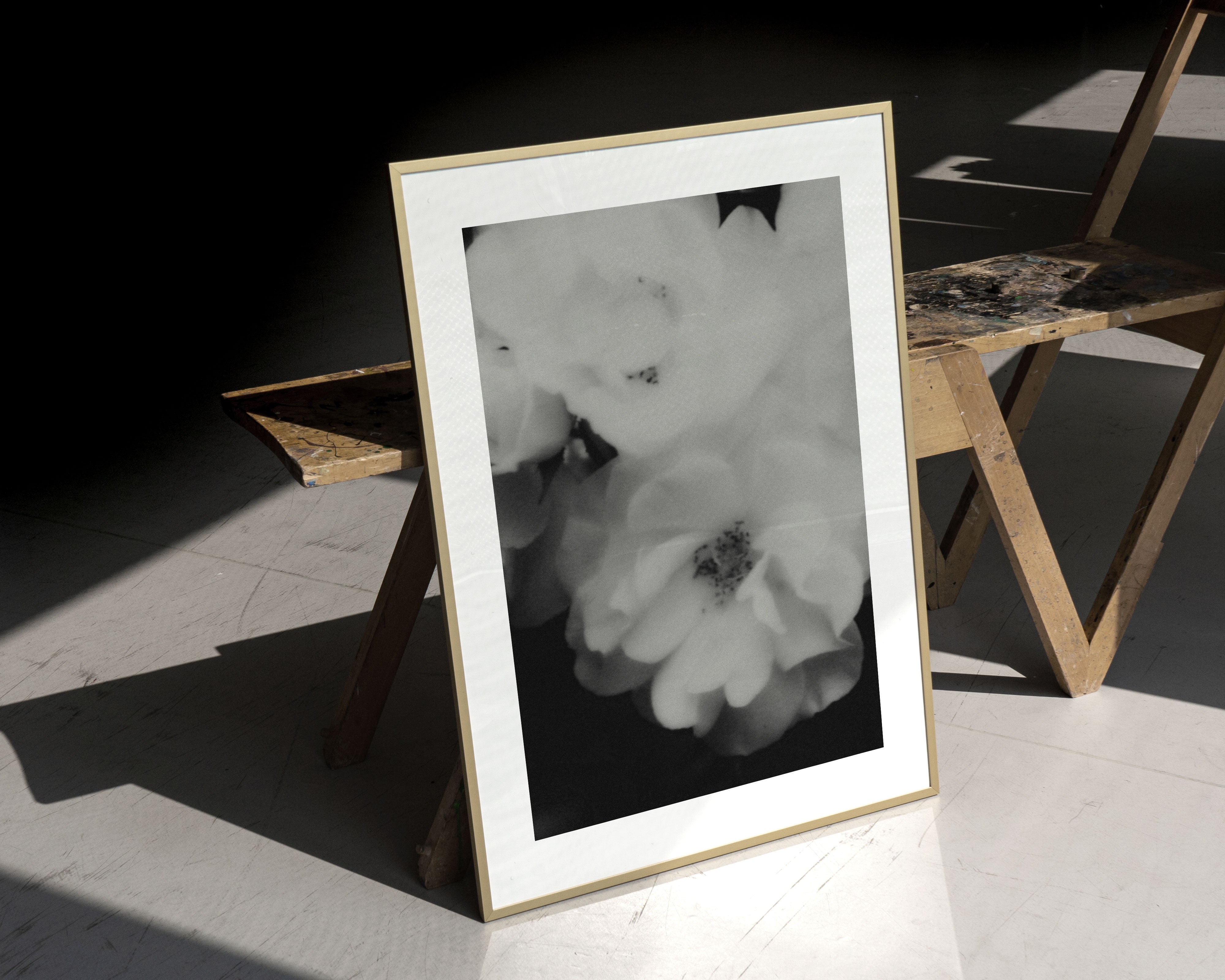 Print | Polaroid Rose