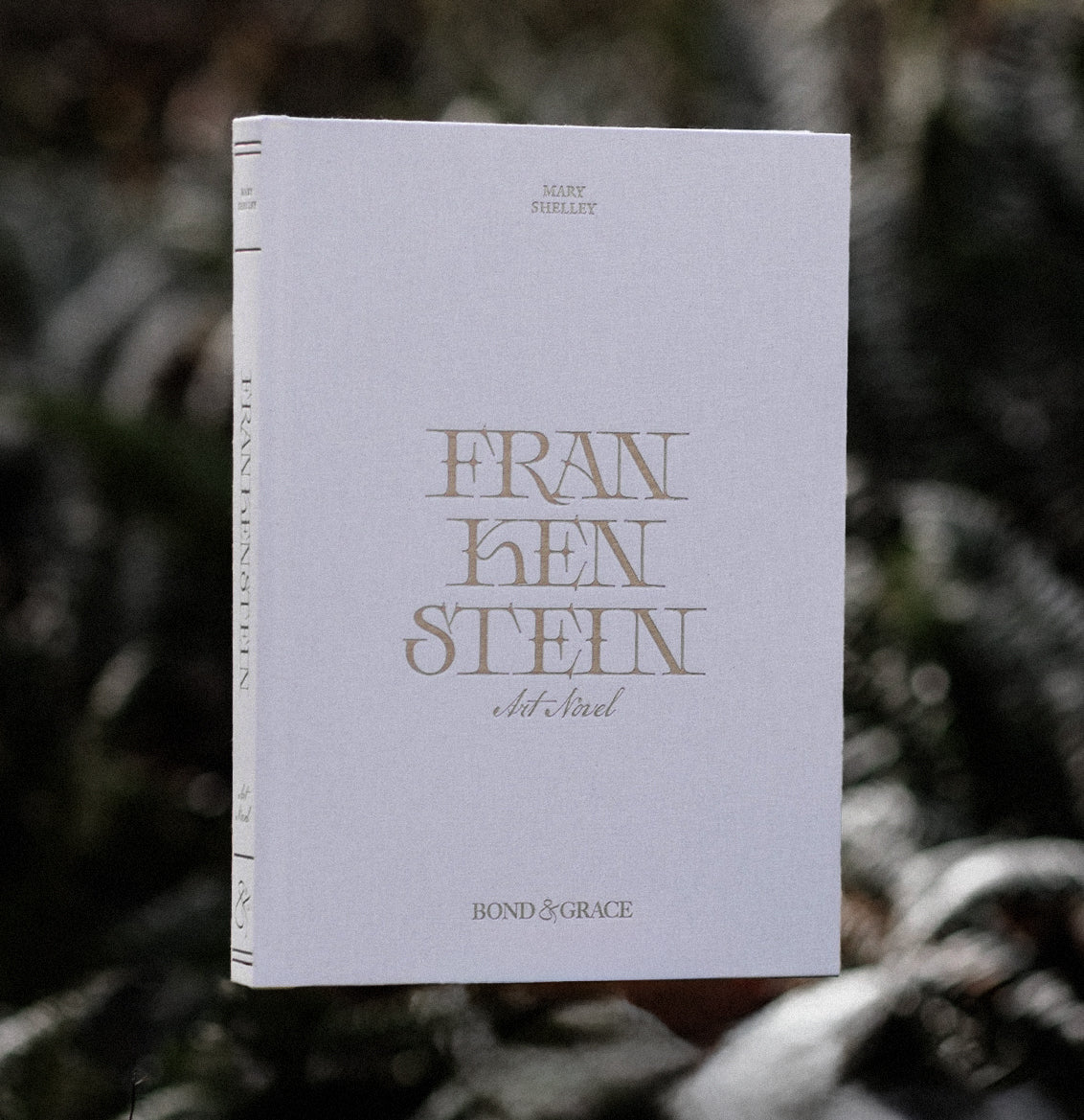 Frankenstein Coffee Table Novel