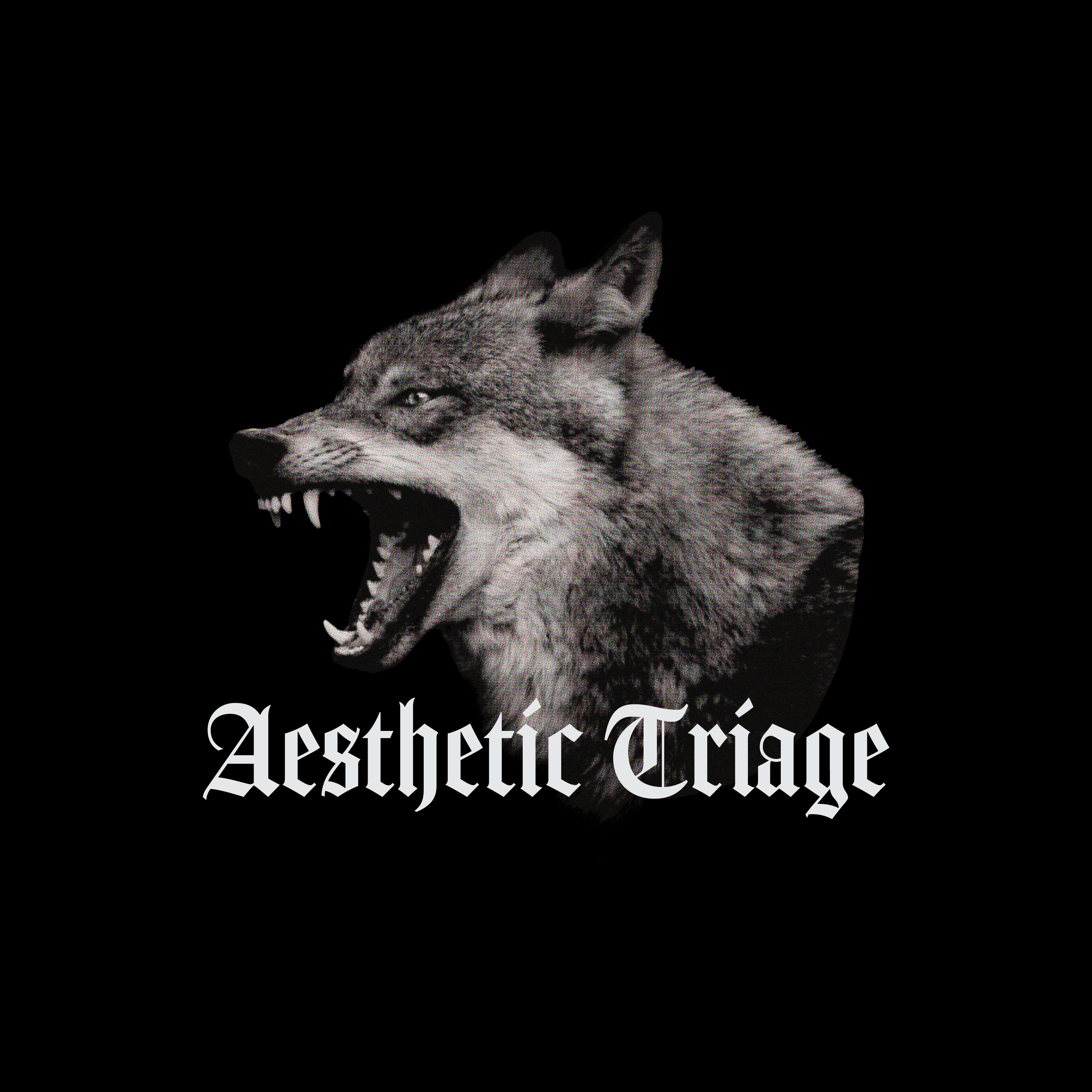 Aesthetic Triage: Brand Audit & Visual Blueprint